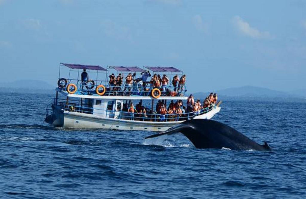 Blue Whale Lagoon Resort Ahangama Extérieur photo