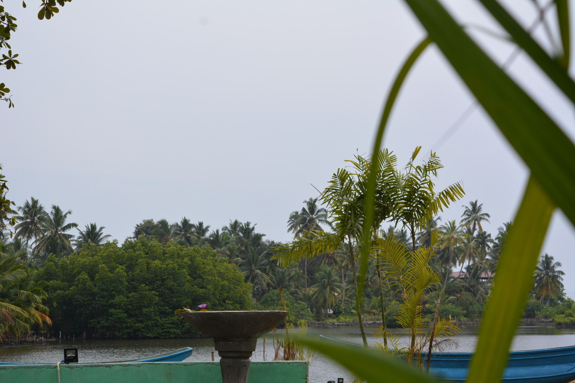 Blue Whale Lagoon Resort Ahangama Extérieur photo